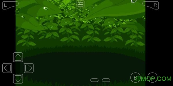 口袋妖怪白金光2金手指图1