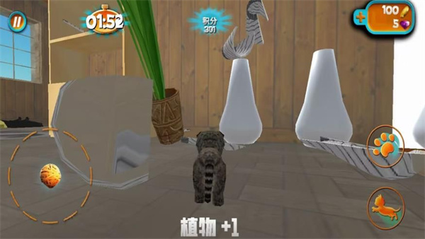 奶奶贴心小猫(2)