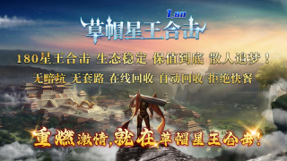 草帽星王合击(5)