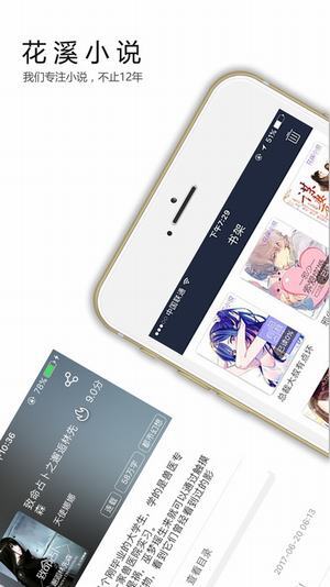 花溪小说旧版图2