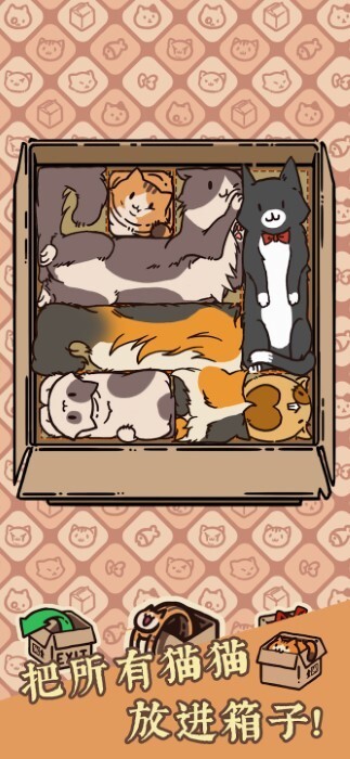 盒子猫(2)