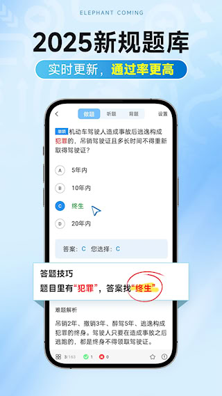 大象驾到Pro图1