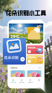 花朵物语识别(1)
