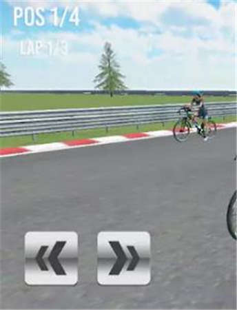 自行车赛车杯(3)