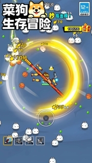 菜狗生存冒险(1)