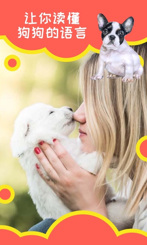 狗狗助手(3)