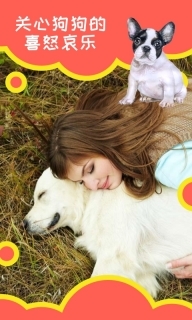 狗狗助手(5)