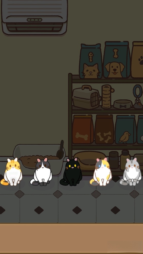 领养一只流浪猫(3)