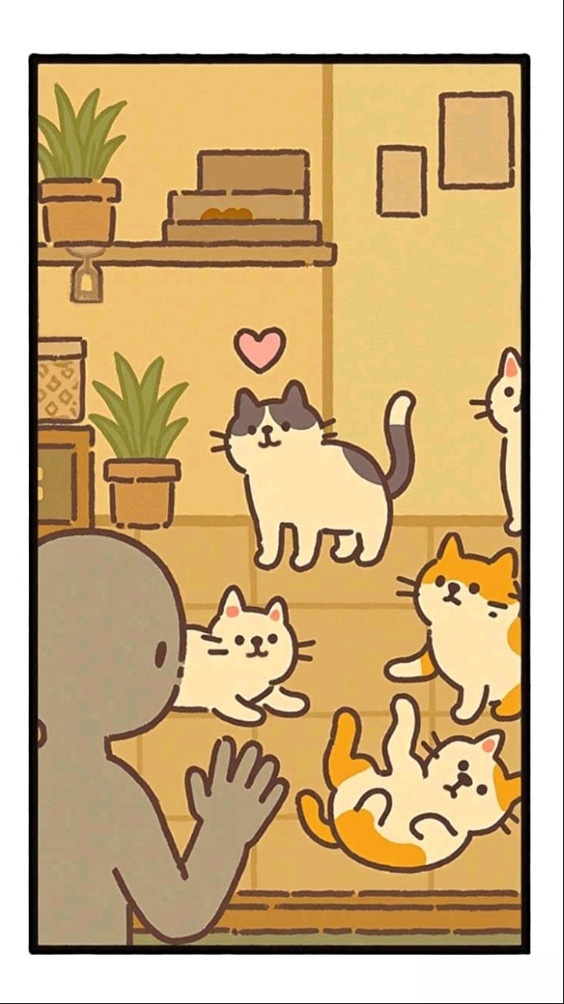 领养一只流浪猫(5)