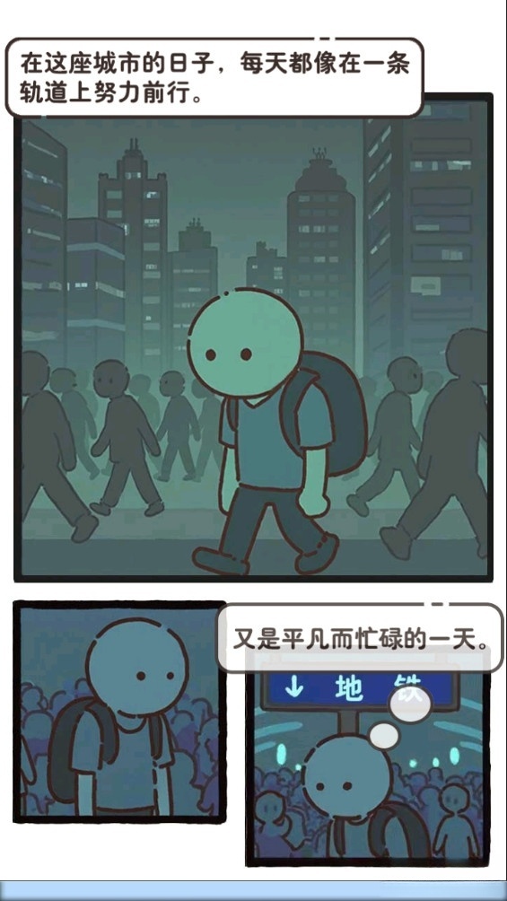 领养一只流浪猫(2)