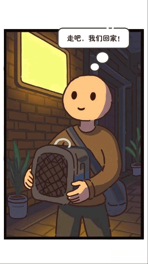 领养一只流浪猫(4)