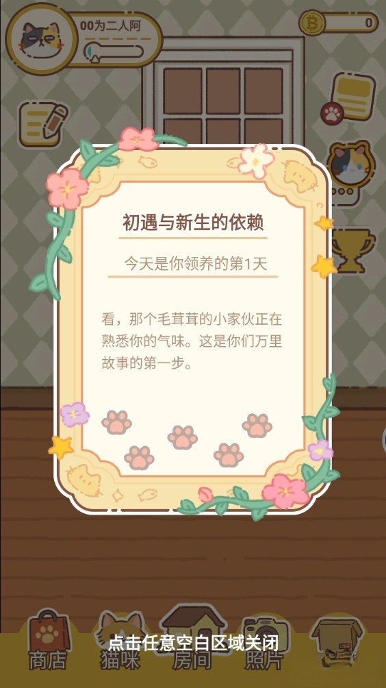 领养一只流浪猫(6)