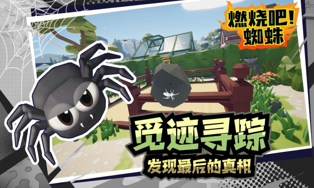 燃烧吧蜘蛛(5)