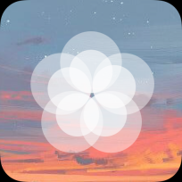 枫知手机主题壁纸