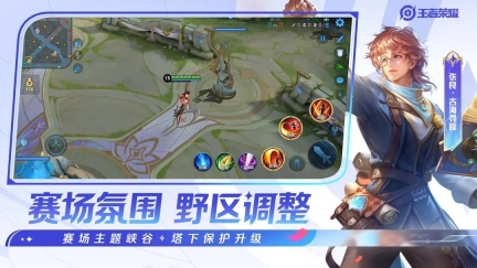 王者荣耀单机版(5)