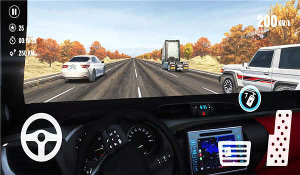 公路赛车交通速度(2)