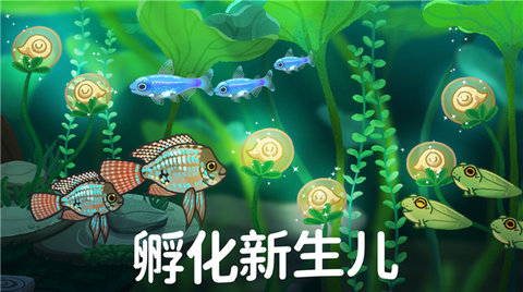 池趣图3