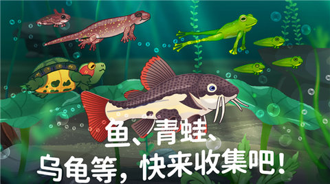 池趣图2