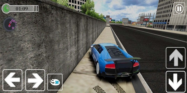 专业竞速车手(3)