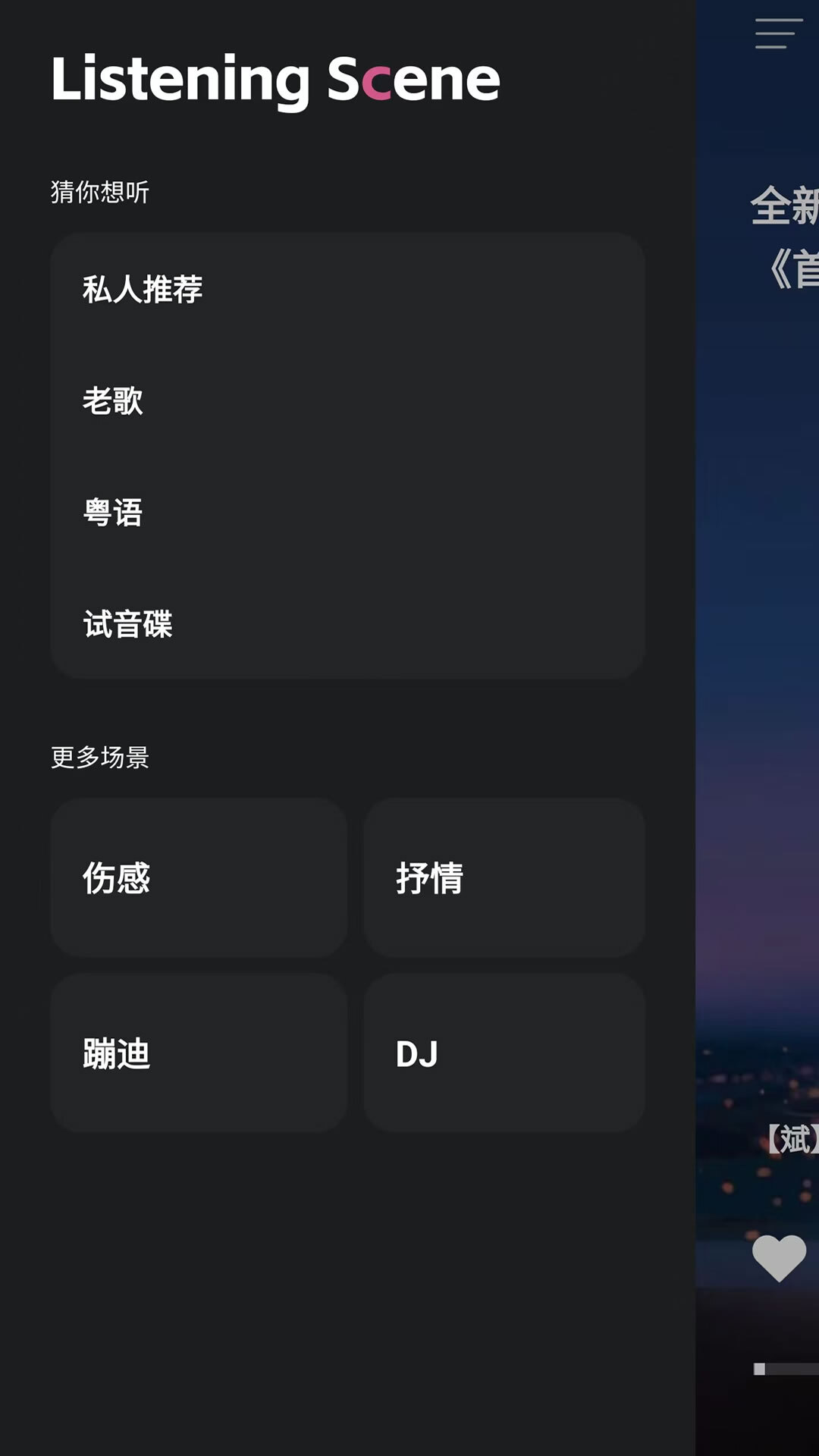 车载音乐库(4)
