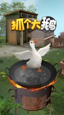 抓个大鹅图3