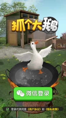 抓个大鹅图1