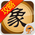 天天象棋攻略助手 V2.3.6