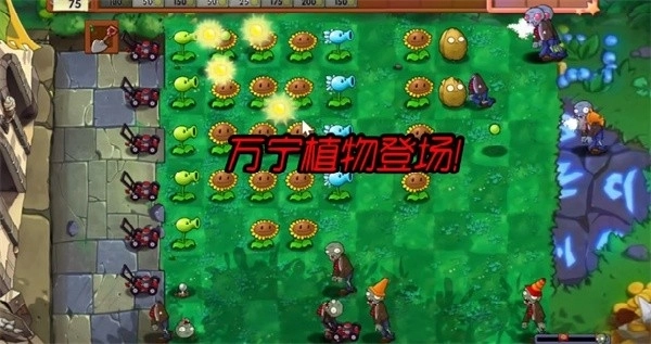 植物大战僵尸万宁版(3)