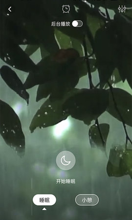 蜜獾睡眠助眠(4)