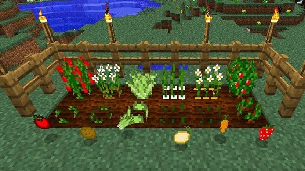 像素方块王者(1)