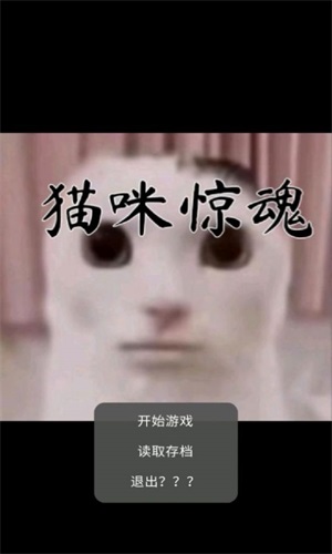 猫猫惊魂(1)