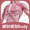 解剖模型Body