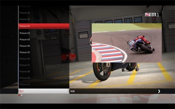 世界摩托大奖赛手机版(12)