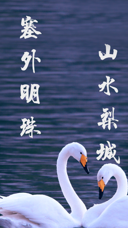 库尔勒好地方(3)
