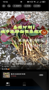 搭子Colo(2)