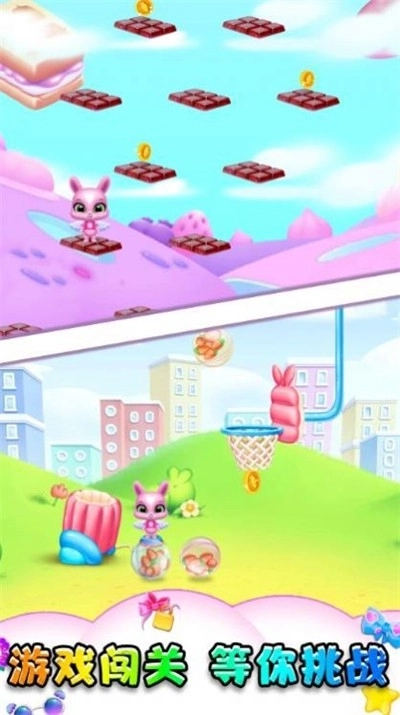 小动物大派对(4)