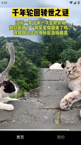 千千短剧红包版