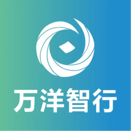 万洋智行软件