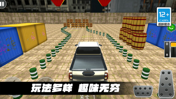 赛车特技大师(4)