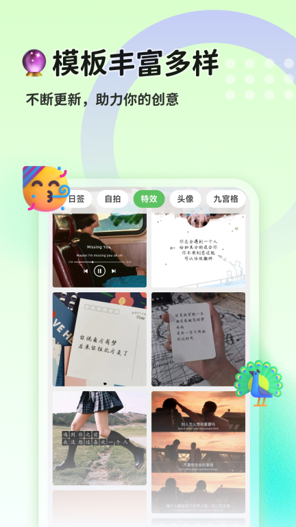 猫制图(1)