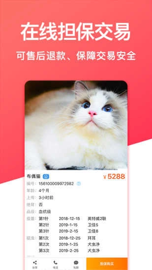 宠物市场图3