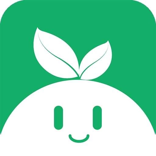 紫树视频最新版