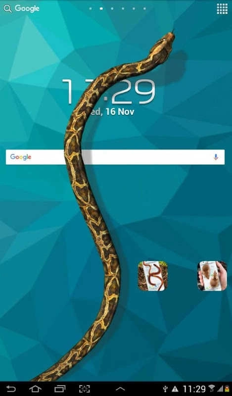 蛇屏幕恶作剧(Snake On Screen Hissing Joke)