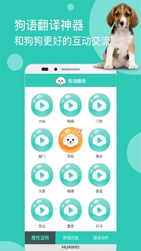 狗语翻译-图2