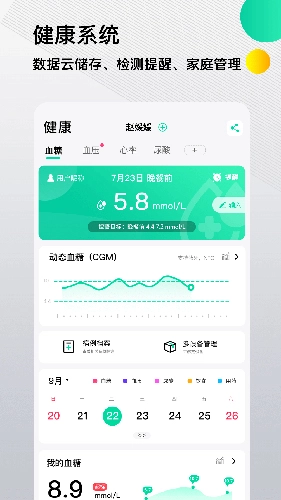 先锋鸟