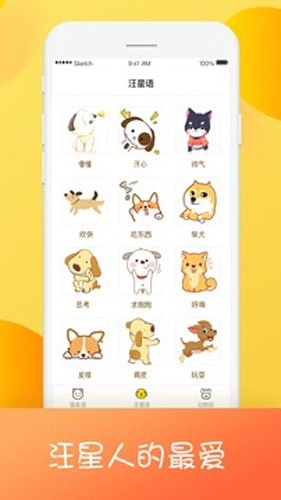 猫狗翻译器中文版图3