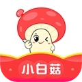 小白菇V3.4.14