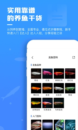 鲲天下安卓版图2