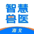 湖北智慧兽医