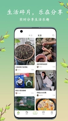 探枝图5